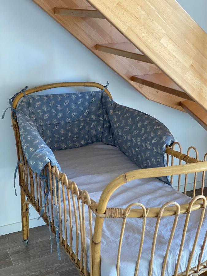 Le Clos Bleu - Gite Rural Schillersdorf Экстерьер фото