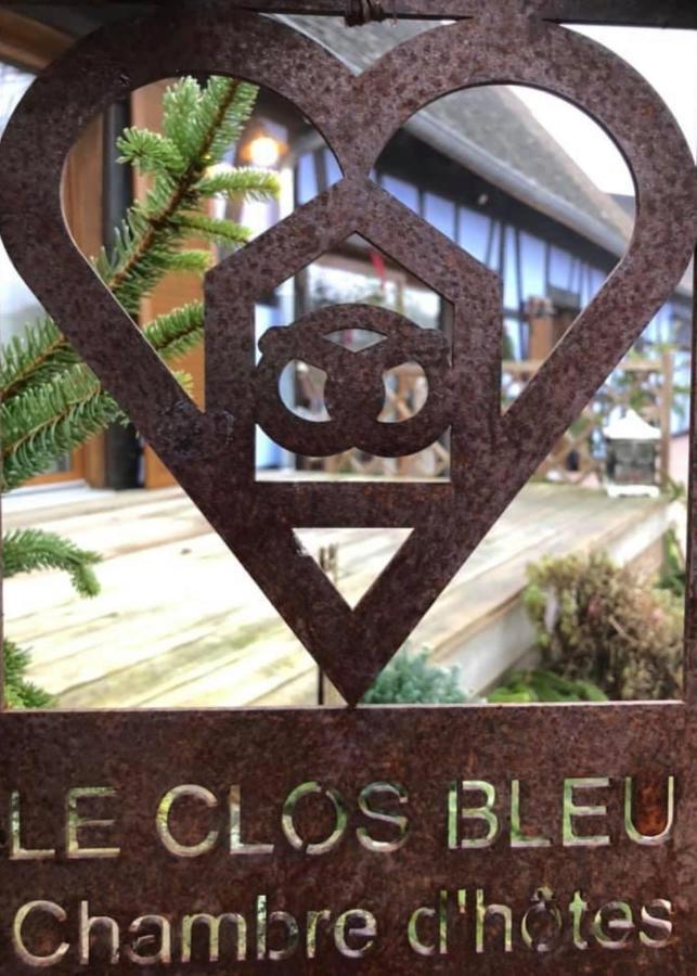 Le Clos Bleu - Gite Rural Schillersdorf Экстерьер фото