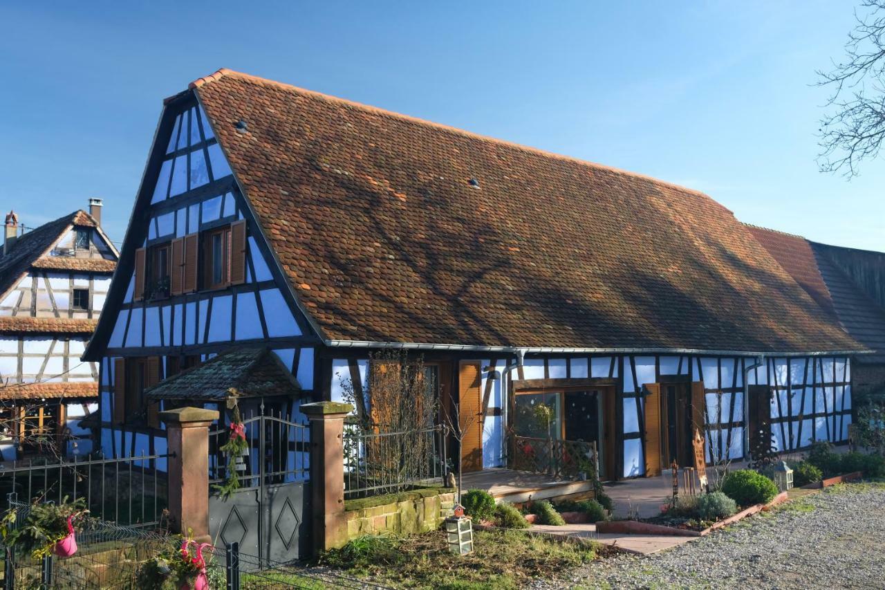 Le Clos Bleu - Gite Rural Schillersdorf Экстерьер фото