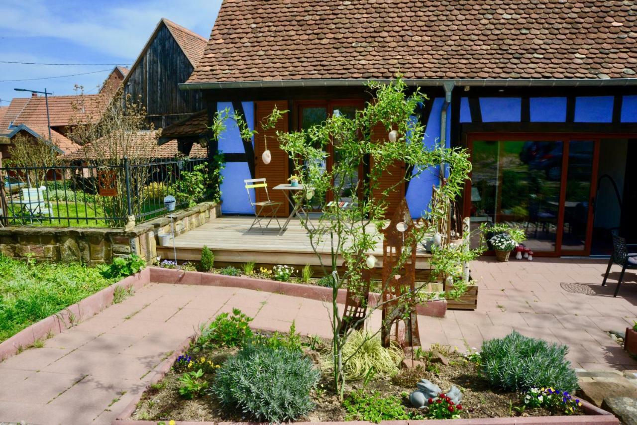 Le Clos Bleu - Gite Rural Schillersdorf Экстерьер фото