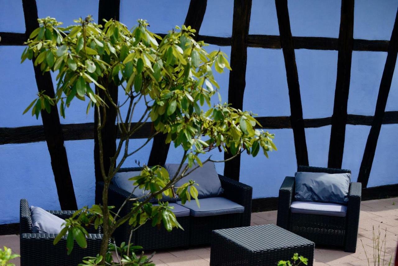 Le Clos Bleu - Gite Rural Schillersdorf Экстерьер фото