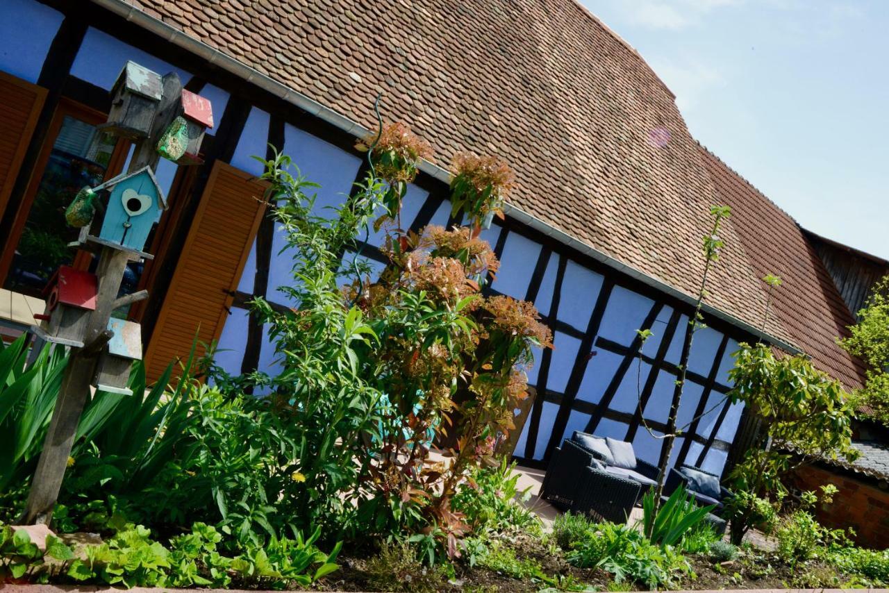 Le Clos Bleu - Gite Rural Schillersdorf Экстерьер фото